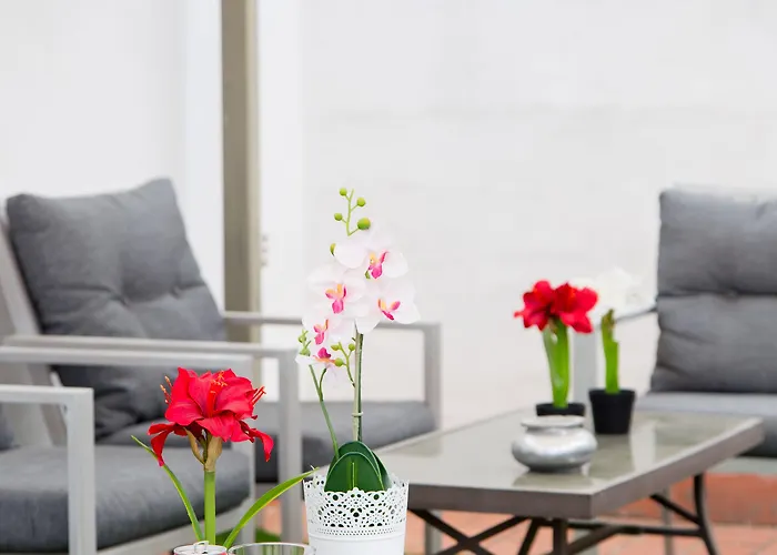 Marbella 2* 丰希罗拉